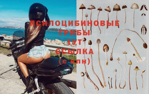 твердый Надым