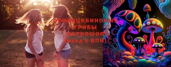 Альфа ПВП Нефтекумск