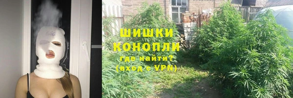твердый Надым