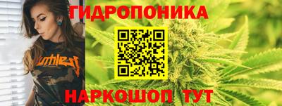 PSILOCYBIN Аргун