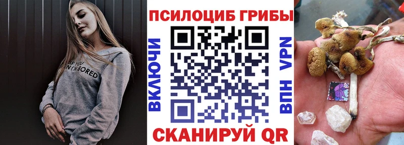 Псилоцибиновые грибы GOLDEN TEACHER  наркотики  Истра 