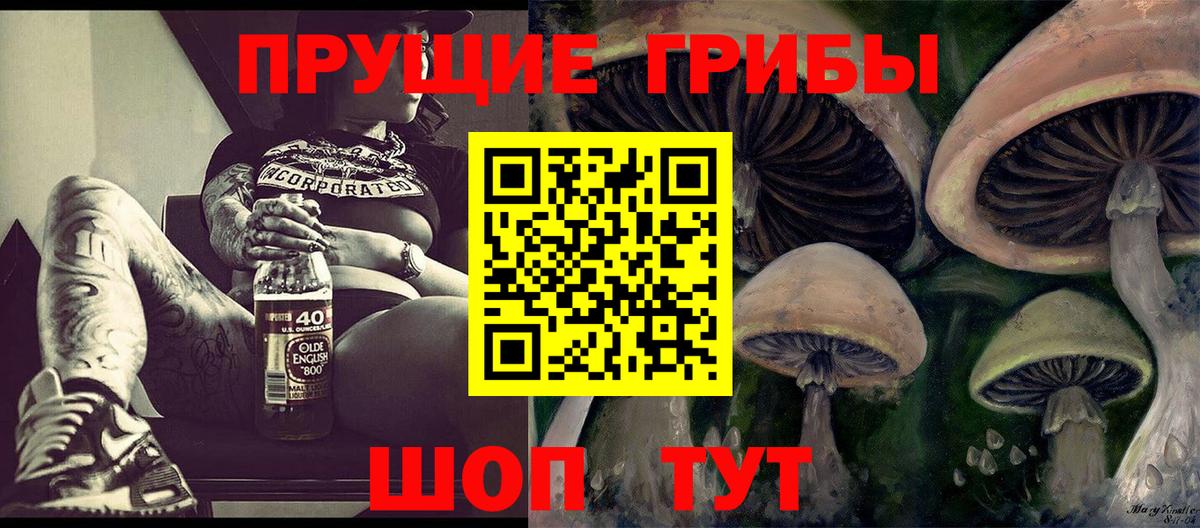 Псилоцибиновые грибы GOLDEN TEACHER Истра