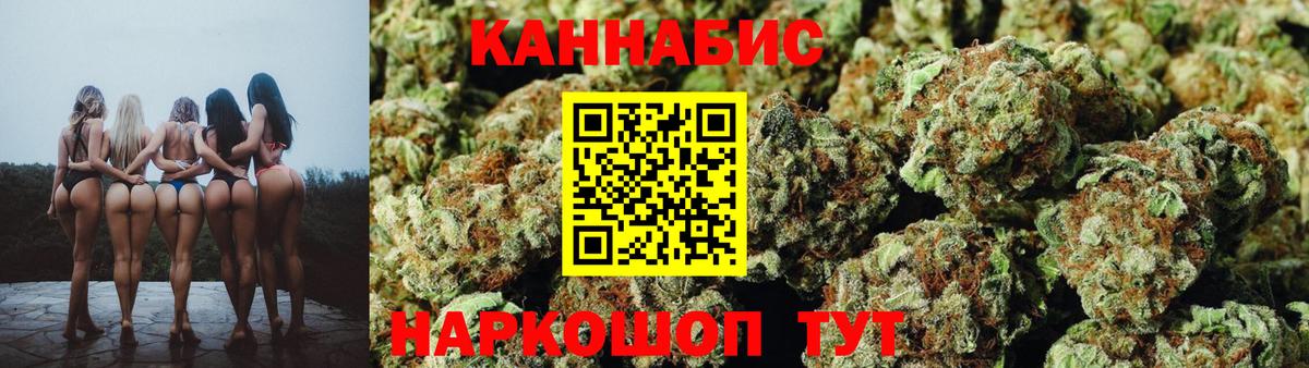 Конопля планчик  Бошки марихуана White Widow  Истра  МАРИХУАНА VHQ 