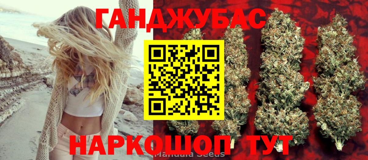 Каннабис индика Истра